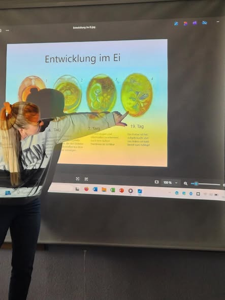 küken 2